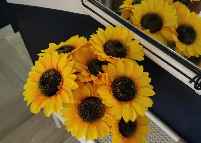 شقة Il Girasole, Distante Solo 200 Mt. Reali Dal Mare ليدو ماريني