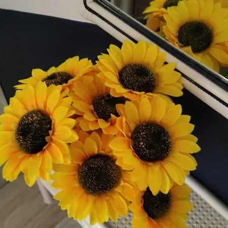 Lägenhet Il Girasole, Distante Solo 200 Mt. Reali Dal Mare Lido Marini